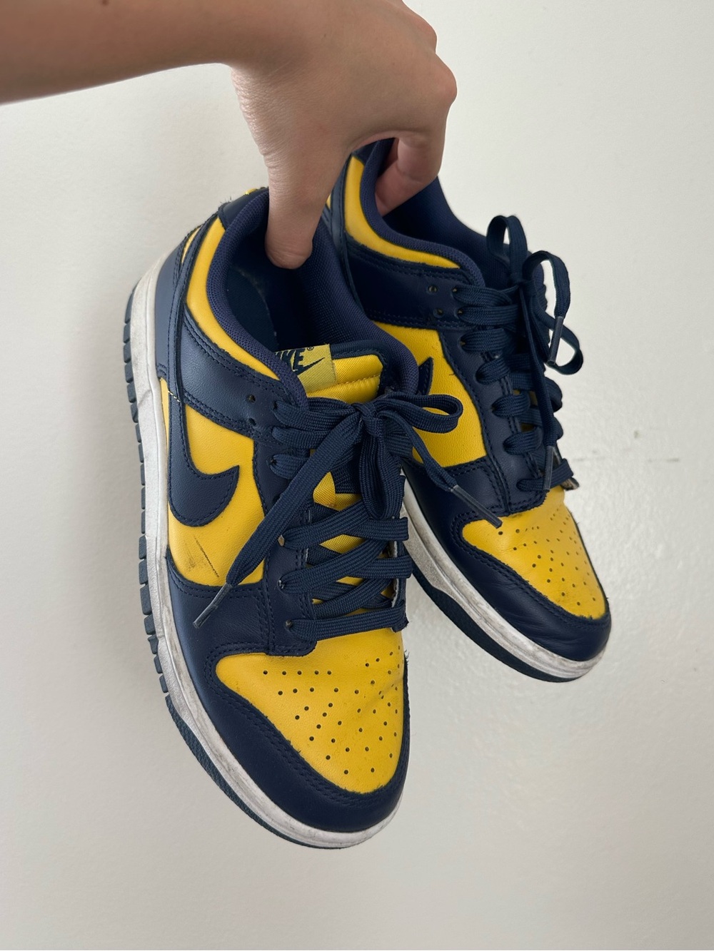 Nike Dunk Low Michigan